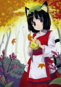 BUY NEW touhou - 192002 Premium Anime Print Poster
